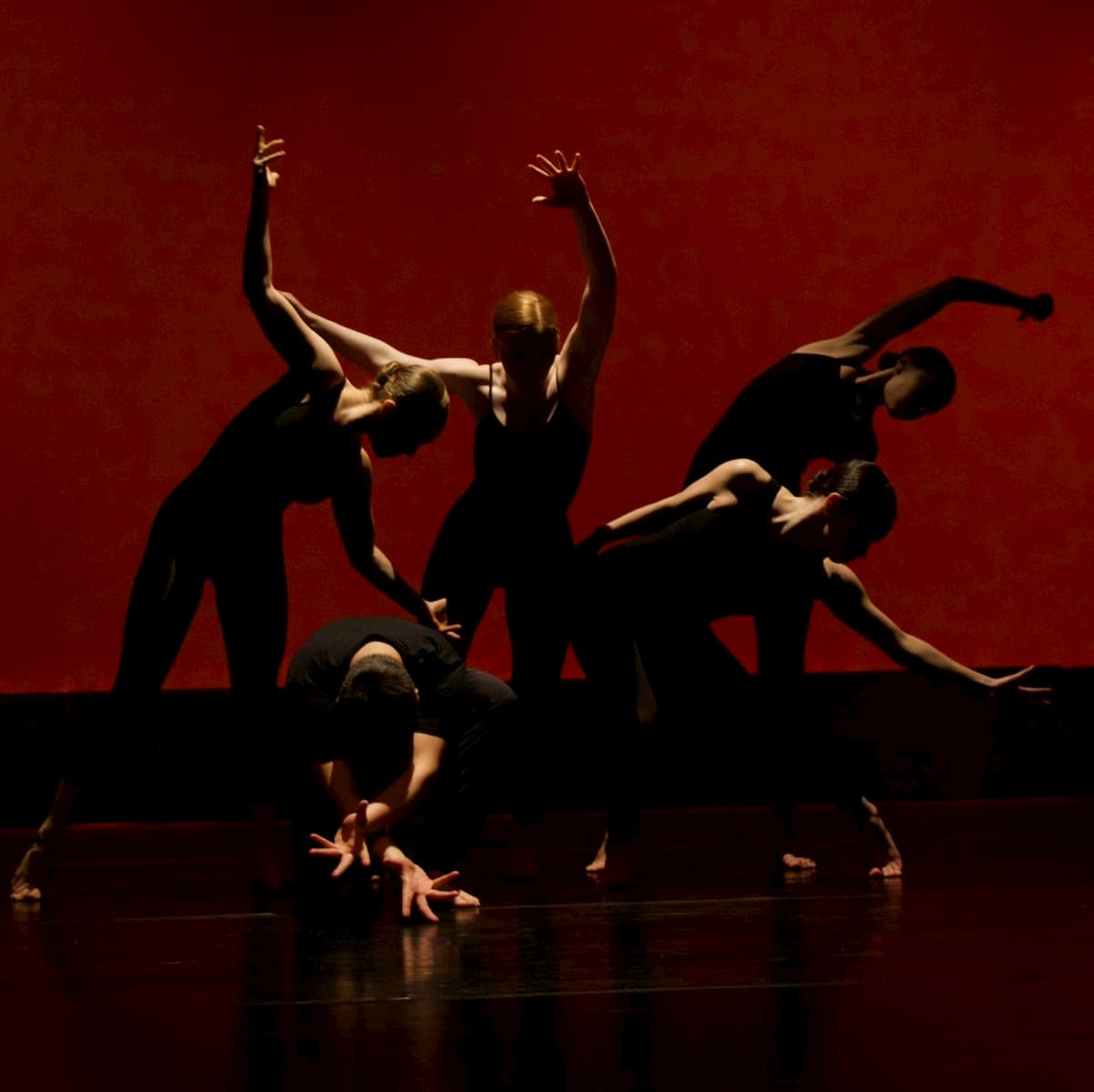 Corso di Danze Coreografiche — New Art&Motion Academy